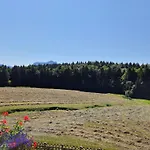 Dersch 3* Thalgau